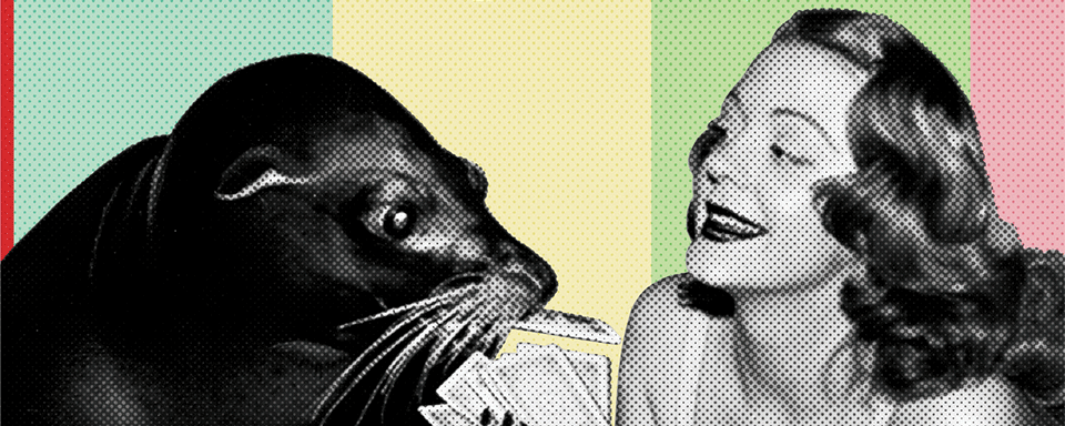 Black and white pop art image of woman playing cards with Sharkey the sea lion against a rainbow background